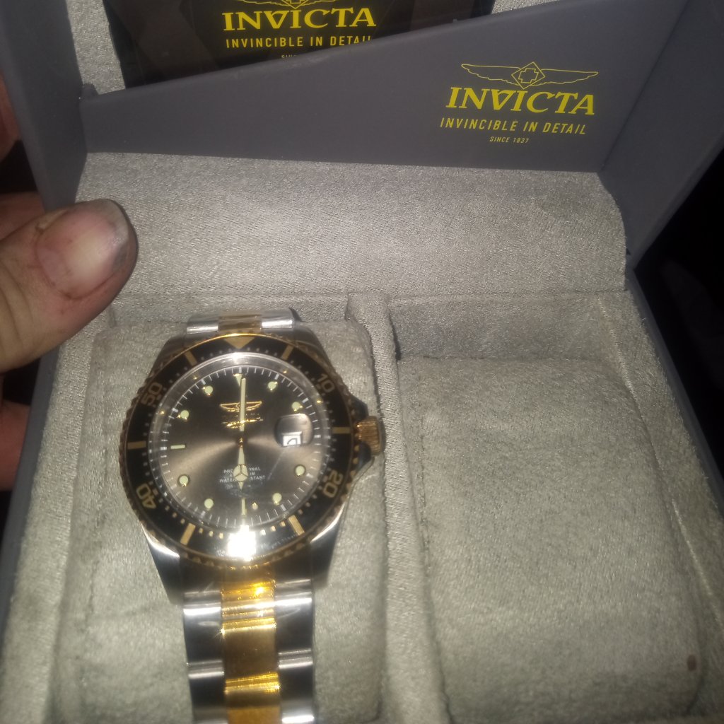 Invicta Pro Diver